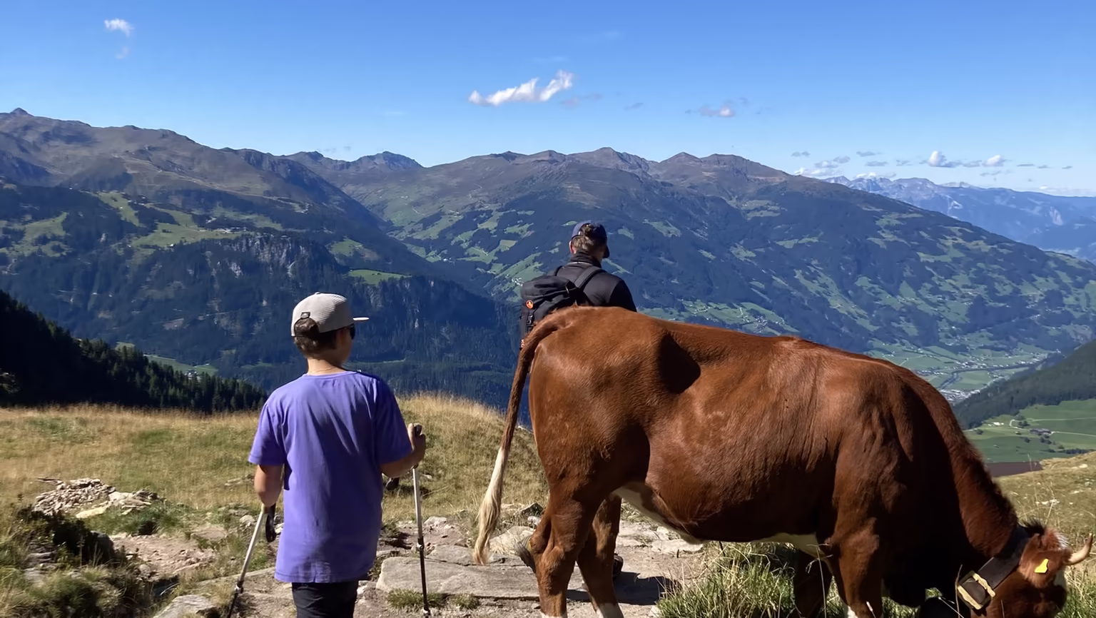 Wandern am Ahorn @Apart Herzblut Mayrhofen